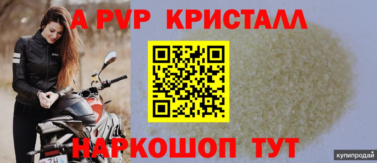 A PVP СК КРИС Вологда