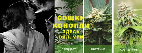 ECSTASY Мегион
