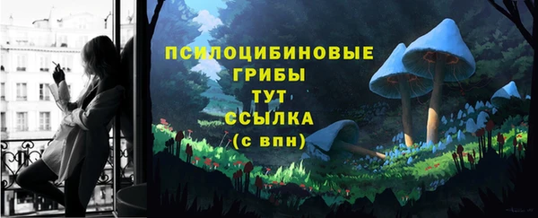 ECSTASY Мегион