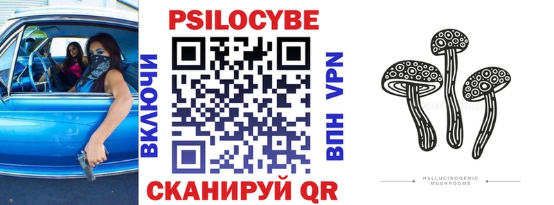 Галлюциногенные грибы Psilocybe  Вологда 