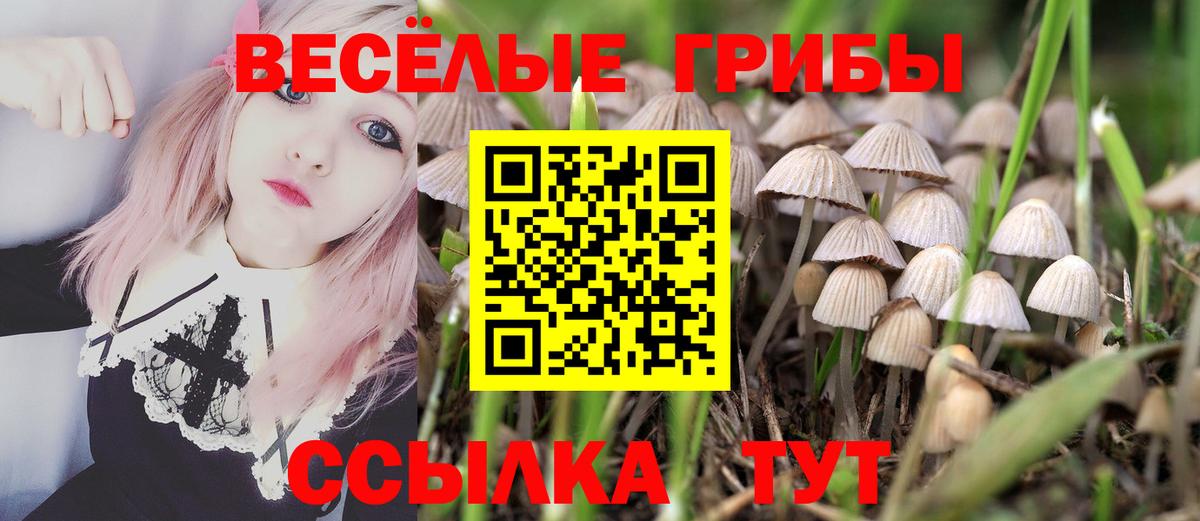 Галлюциногенные грибы ЛСД  Вход с VPN  Вологда  Псилоцибиновые грибы мухоморы 